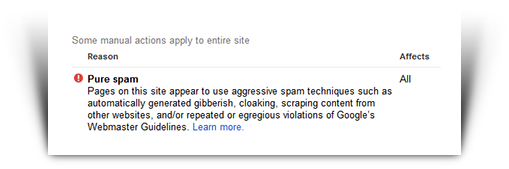 Google Pure Spam Manual Penalty Notice